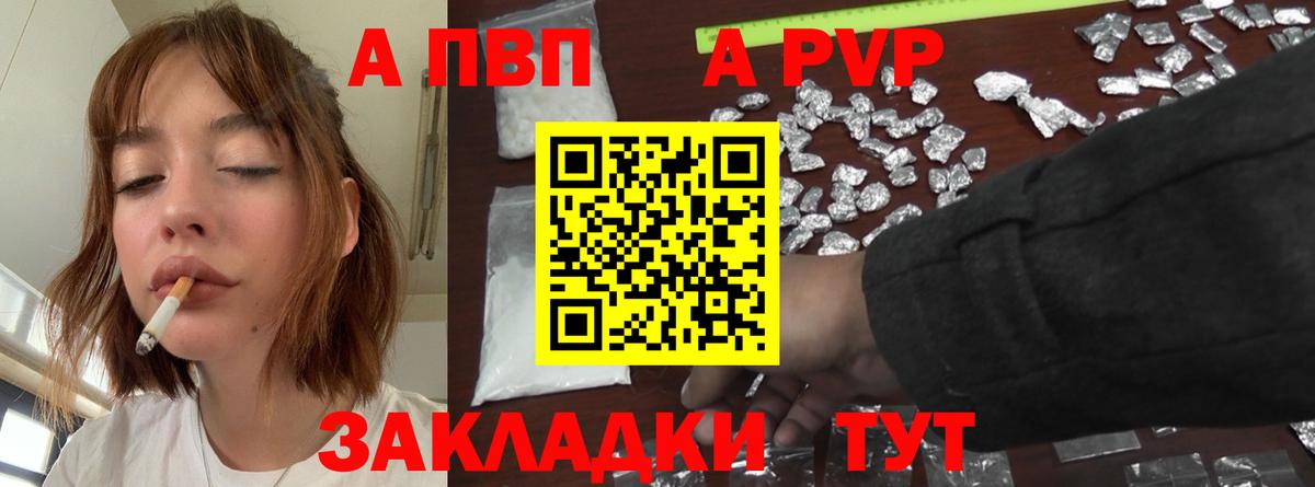 Альфа ПВП СК Можга