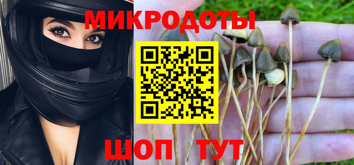 Псилоцибиновые грибы прущие грибы Можга